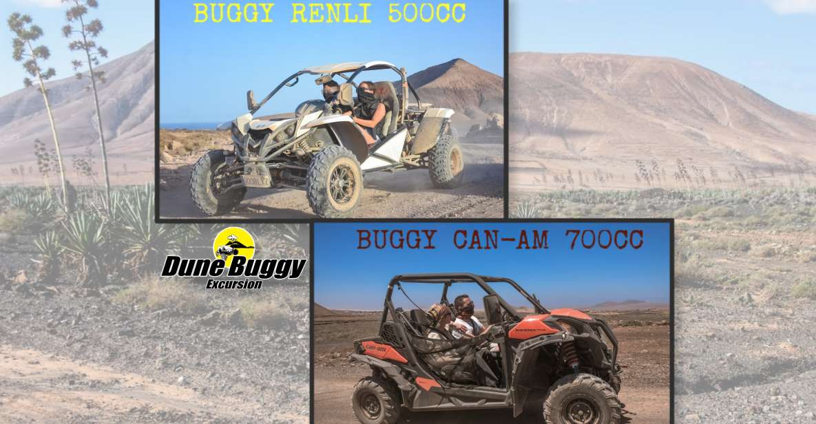 Fuerteventura: Dune Buggy Tour in Northern Fuerteventura - Pricing and Booking Details