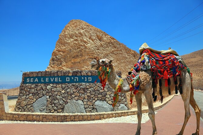 Full-Day Masada and Dead Sea From Tel Aviv - Cable Car Ride to the Top