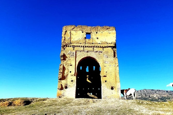 Full-Day Private Guided Tour of Fez With Pickup and Lunch - Included Experiences