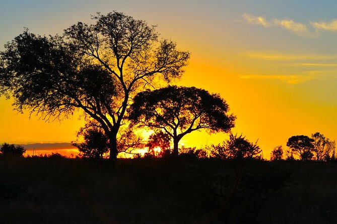 Full-Day Shared Kruger National Park Safari From Hoedspruit - Pickup Information