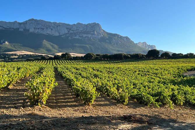 Full Day Tasting The Unknown Rioja Wine Region - Pickup and Start Time