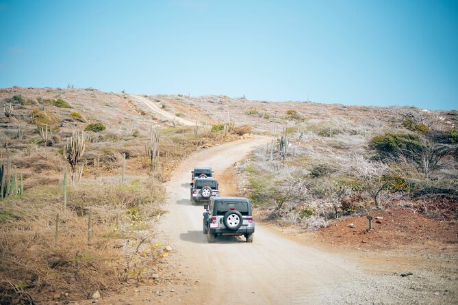 Fun Only Jeep Tour - Inclusions