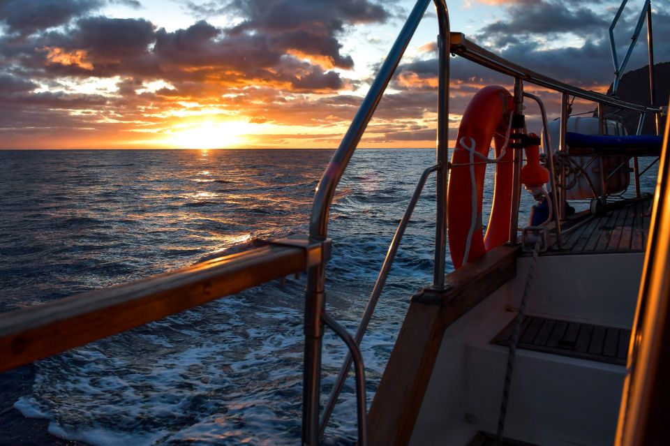 Funchal: Dolphin and Whale Watching Sunset Sailing Tour - Experience Highlights