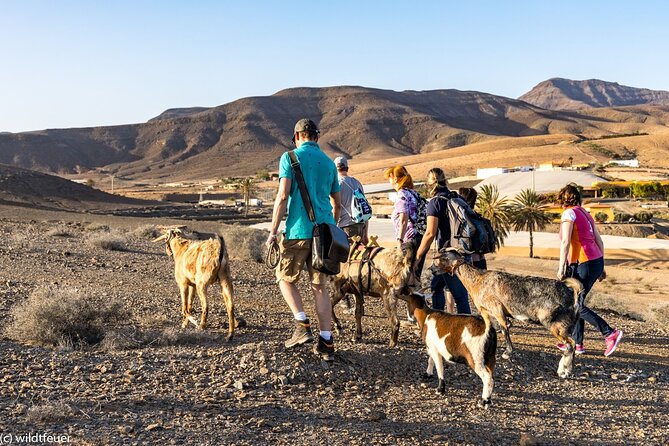 Goat Trekking Fuerteventura - Booking and Confirmation