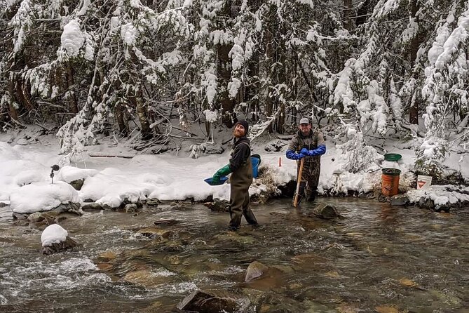 Gold Panning Activity at Mission Creek - Meeting Point and Parking