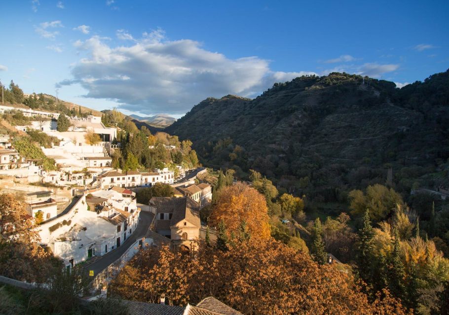 Granada: Half-Day 4-Neighborhoods 4-Cultures Private Tour - Experience Highlights