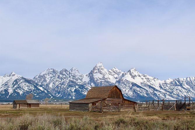 Grand Teton Half Day Tour - Itinerary Highlights