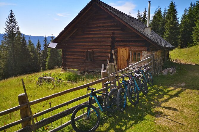 Guided E-Bike Tour of the Alpine Pastures in the Salzkammergut - Inclusions