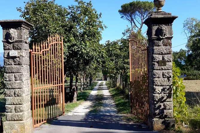 Guided E-Bike Tour With Wine Tasting From Lucca - Included Experiences