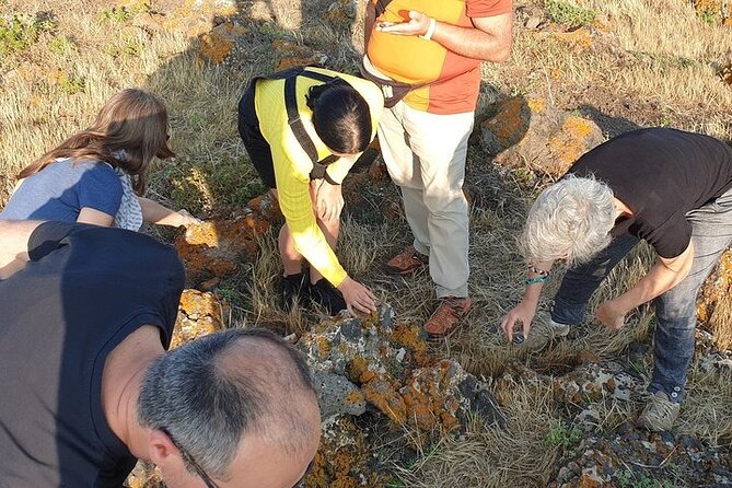 Guided Geological Excursion to Ustica - Tour Highlights and Inclusions