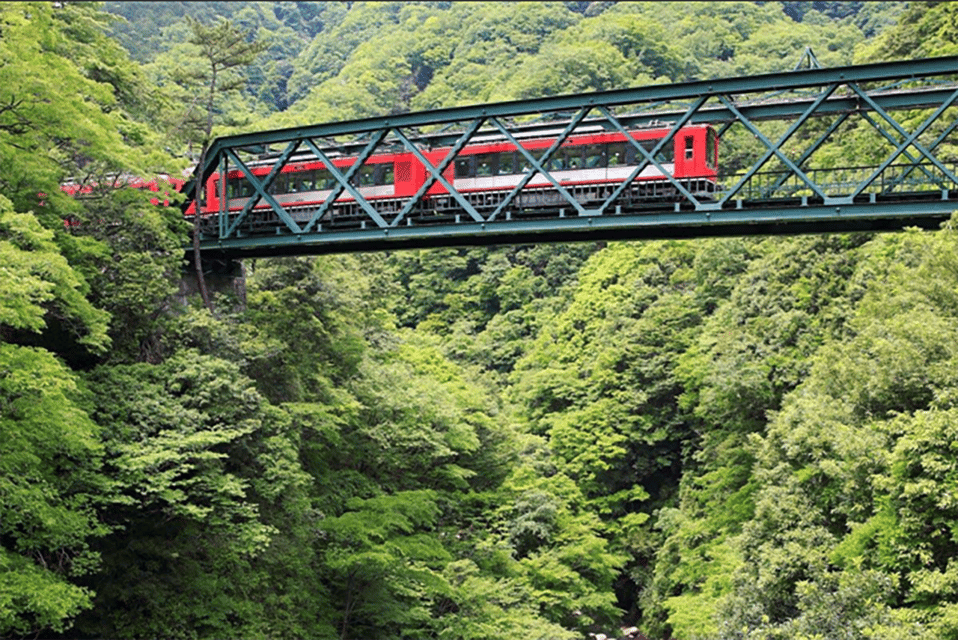 Hakone: Lake Ashi Cruise Review - Hakone Shrine Exploration