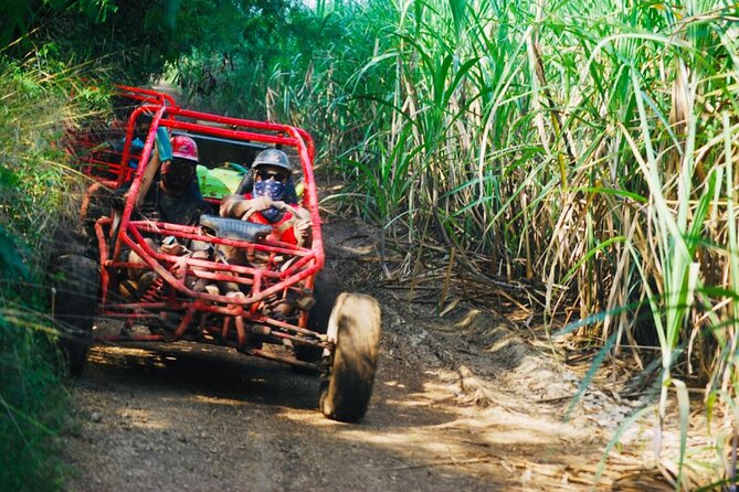 Half-Day ATV or Buggy 4X4 From Bayahibe - La Romana - What to Expect During the Tour