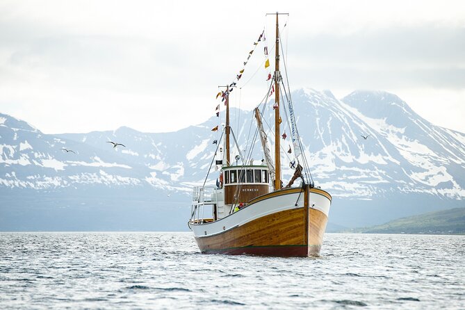 Half-Day Fishing & Fjord Cruise Adventure From Tromsø in Norway - Inclusions and Amenities