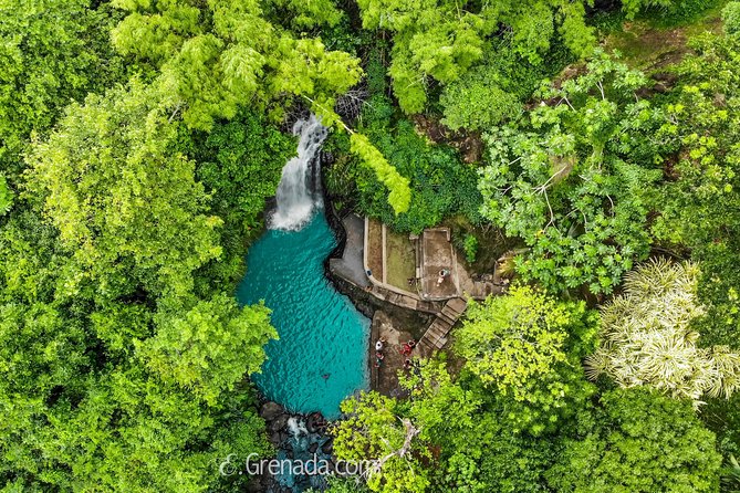 Half-Day Grenada River Tubing Adventure and Annandale Falls - Discovering Annandale Falls and River Tubing