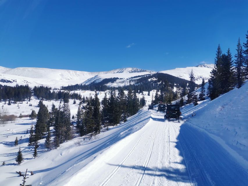 Hatcher Pass: Heated & Enclosed ATV Tours - Open All Year! - Tour Details and Highlights