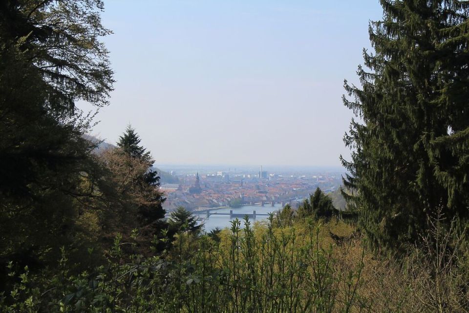 Heidelberg Highlights Segway Tour With Castle - Tour Inclusions