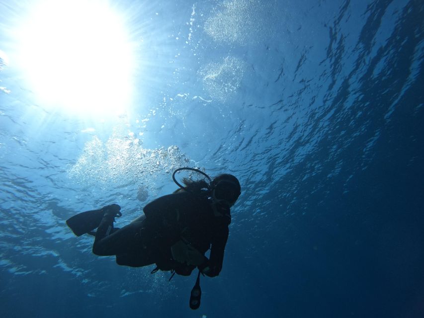 Heraklion: Scuba Diving Trip for Beginners - Booking and Cancellation