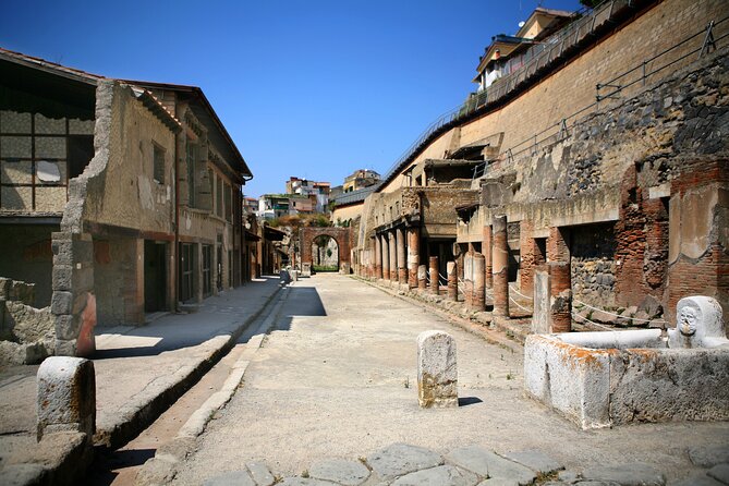 Herculaneum Private Walking Tour - Inclusions and Logistics