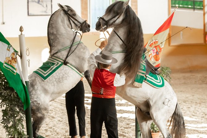 Horse and Flamenco Show in Malaga With Dinner - Inclusions and Amenities