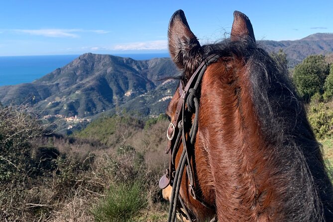 Horse Riding on the Coast of Monterosso Al Mare, Cinque Terre - Included in the Tour