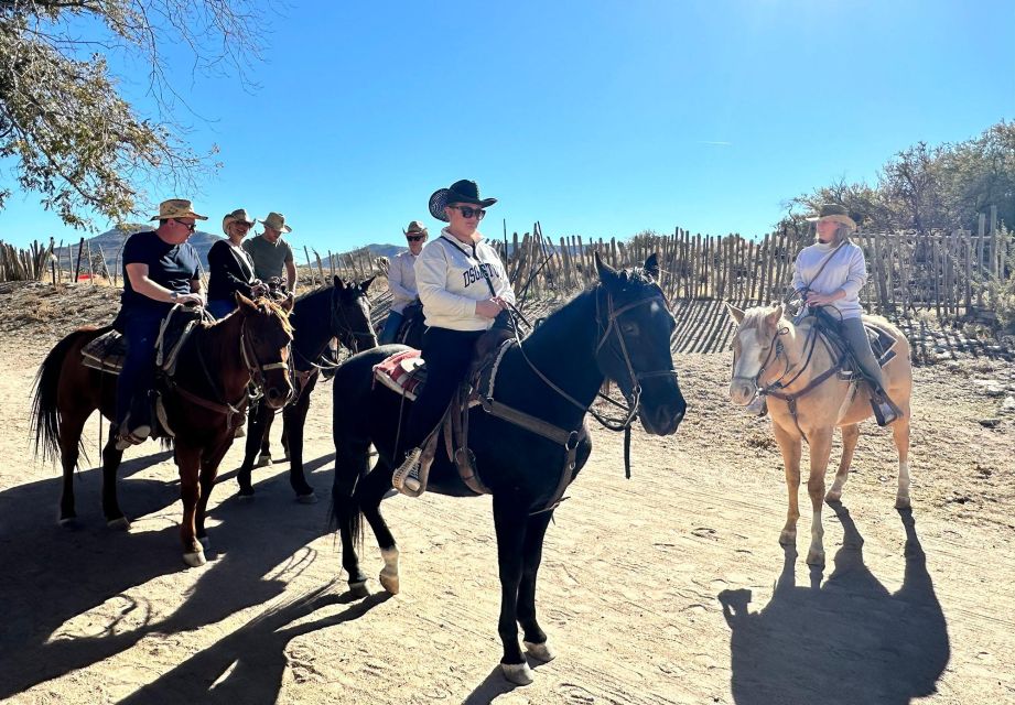 Horseback Ride Thru Joshua Tree Forest With Buffalo & Lunch - Exploring the Buffalo Habitat