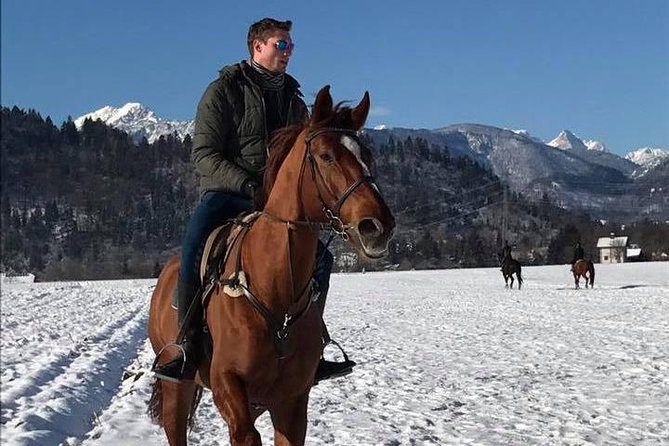 Horseback Riding In Bled - Activity Details and Participant Levels