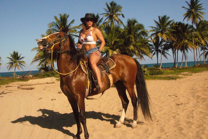 Horseback Riding on the Beach Free Transportation - Tour Inclusions