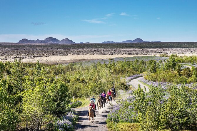 Horseback Riding Tour in Iceland - Additional Information