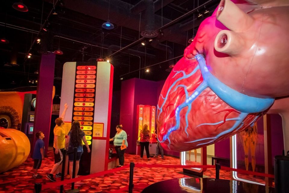 Houston: 1-Day or 3-Day Museum Pass - Discounts and Benefits