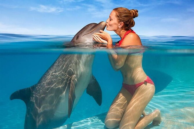 Hurghada: Private 4 Hours Speedboat Dolphin House Snorkling Tour - Meeting and Pickup