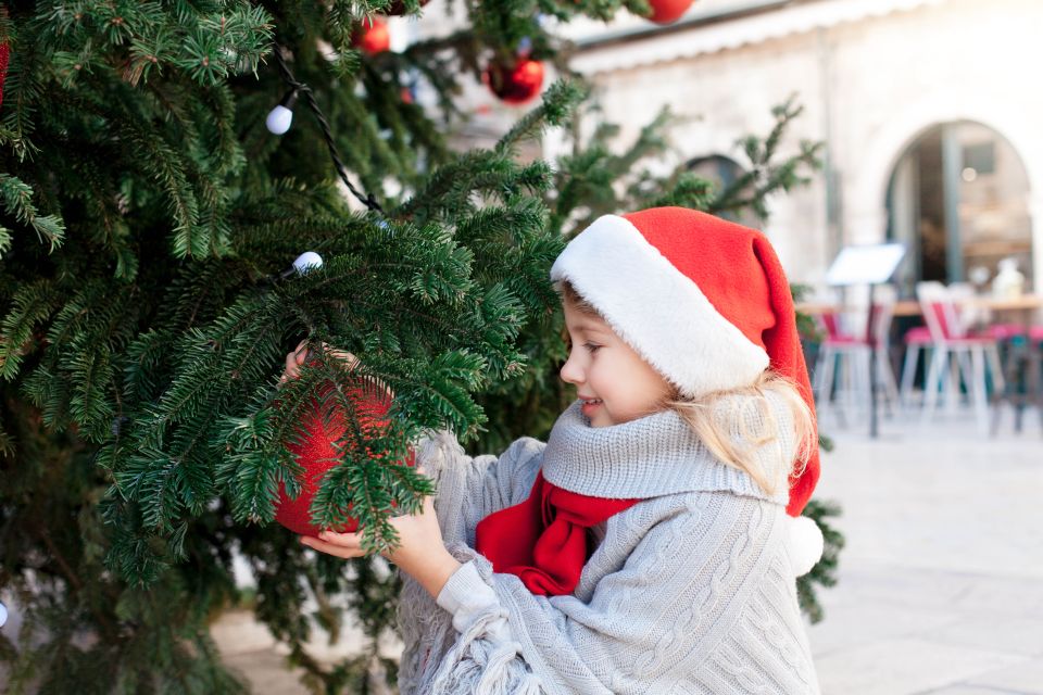 Inspiring Christmas in Dubrovnik - Walking Tour - Booking Information