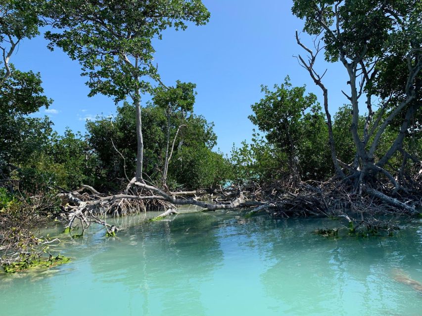 Islamorada: Guided Tour With Local Highlights - Pricing and Reservation