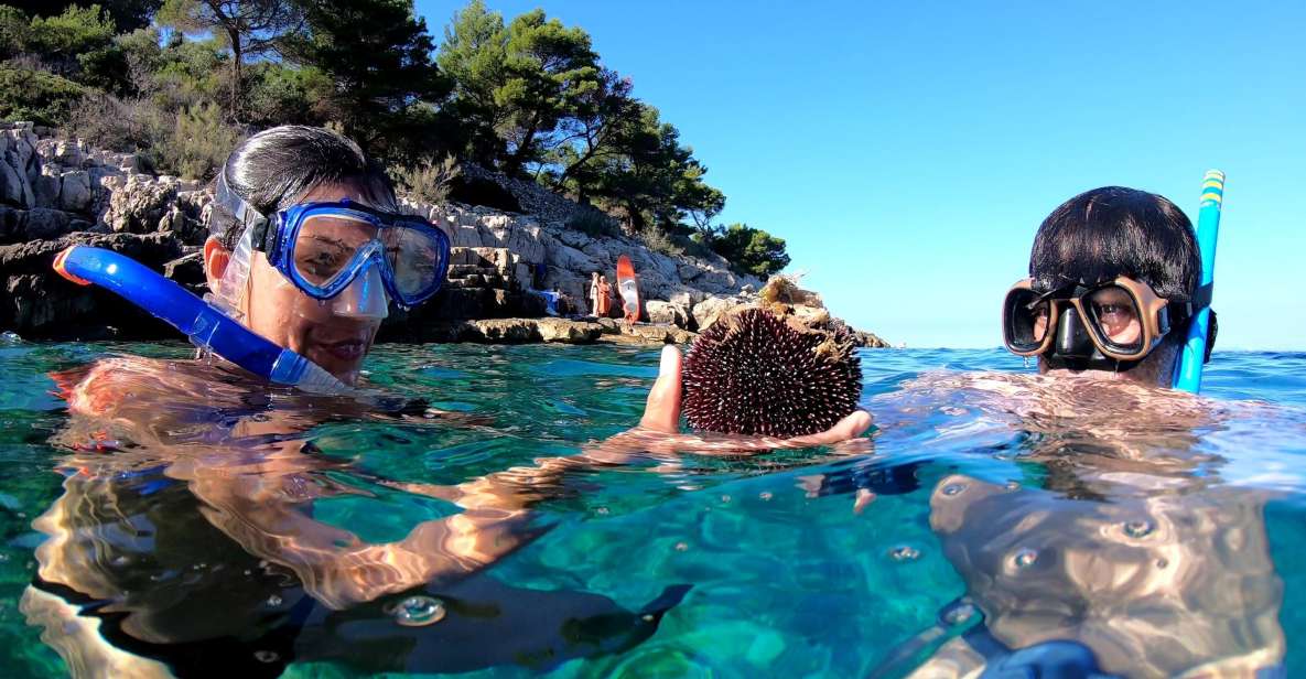 Island Losinj Kayak Tour - Itinerary and Experience