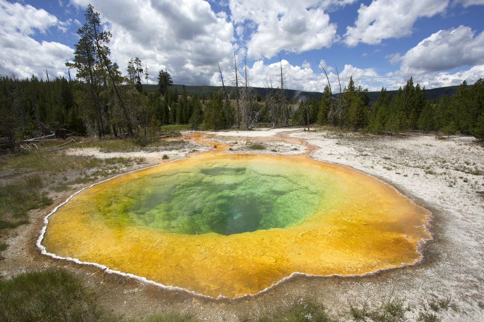 Jackson: 2-Day Yellowstone National Park Tour With Lunches - Highlights