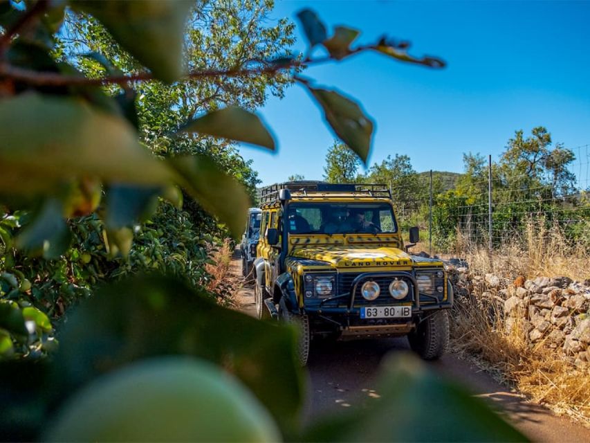 Jeep Safari Tour- Full Day - Booking Information