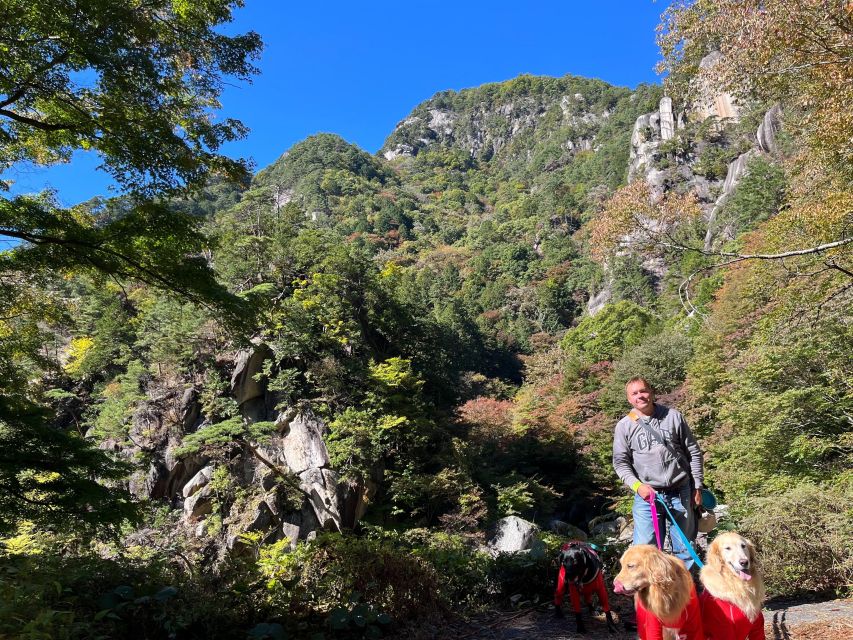 Kamakura Half Day Tour With a Local - Experience Highlights