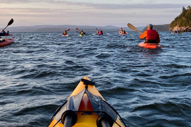 Kayaking With First Nations Storytellers - Included in the Tour