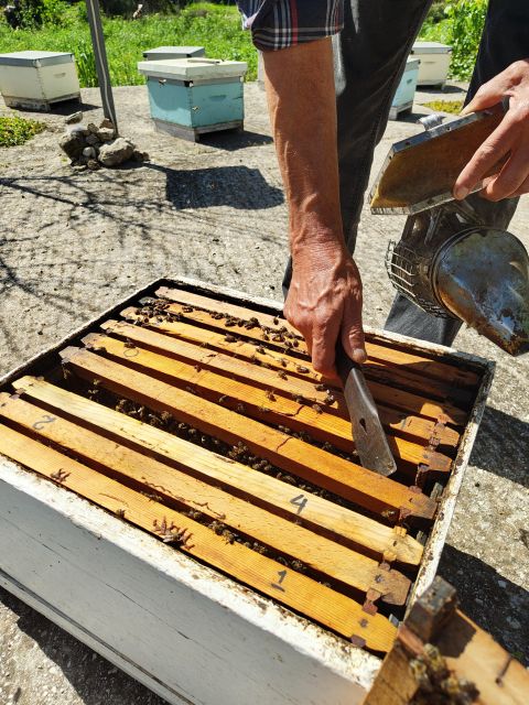 Kefalonia Honey Tour on E-Bikes - Experience Highlights