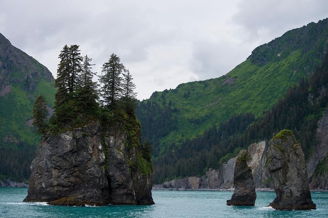 Kenai Fjords and Resurrection Bay Half-Day Wildlife Cruise - Wildlife Viewing Opportunities