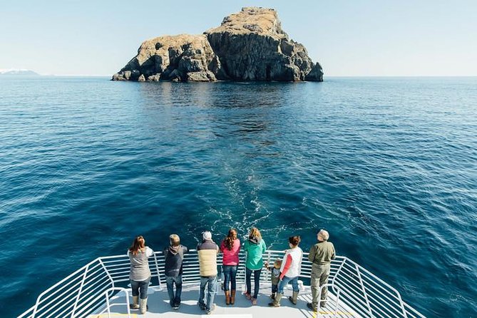 Kenai Fjords National Park Cruise From Seward - Meeting Point and Logistics