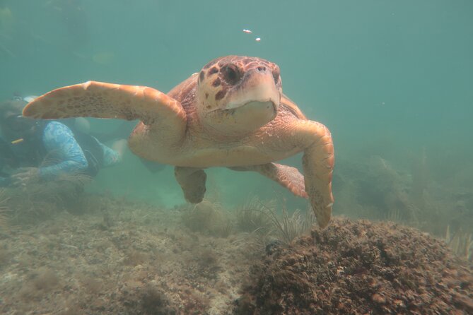 Key West SNUBA Experience - Meeting and Pickup Details