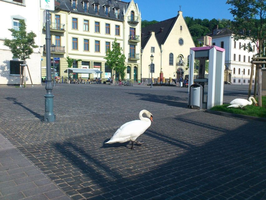 Koblenz: Private Guided Walking Tour - Exploring the Citys History