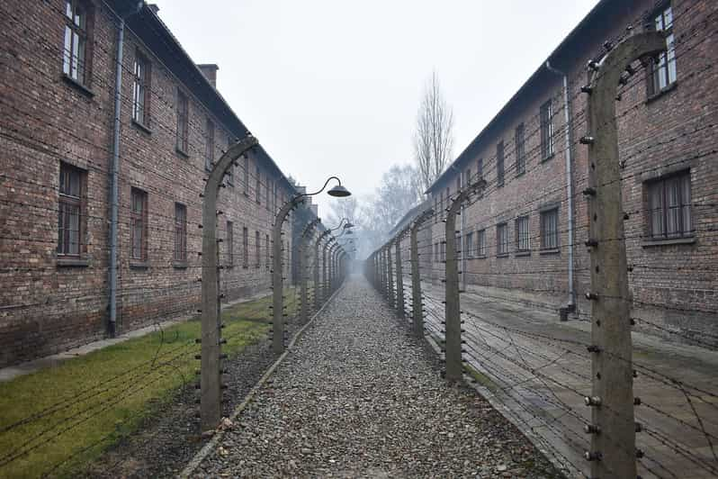 Krakow: Auschwitz-Birkenau Day Trip With Tour Leader - Itinerary and Experience