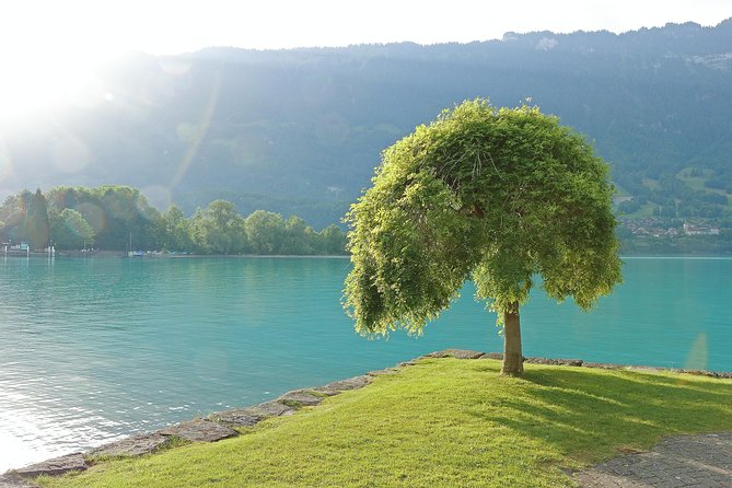 (Ktg361) - Interlaken Day Trip by Bus From Geneva - Itinerary and Activities