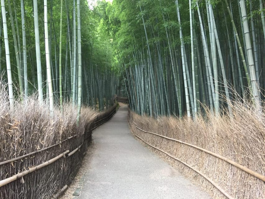 Kyoto, Arashiyama: Bamboo Grove Half-Day Private Guided Tour - Tenryuji Temple