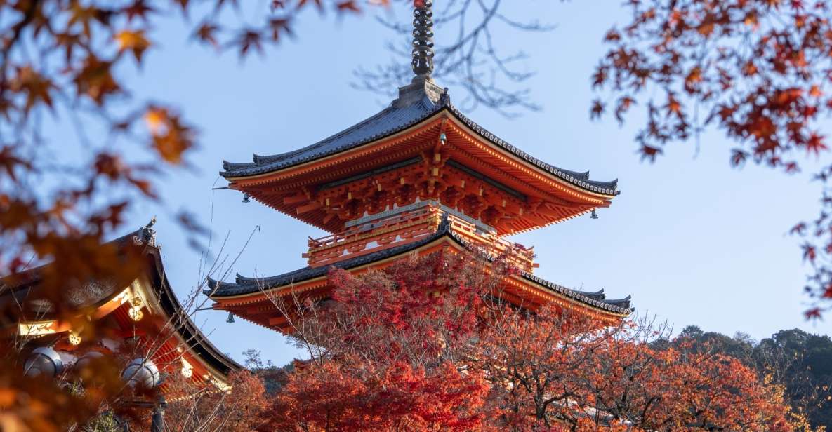 Kyoto: Personalized Guided Private Tour - Tour Experience