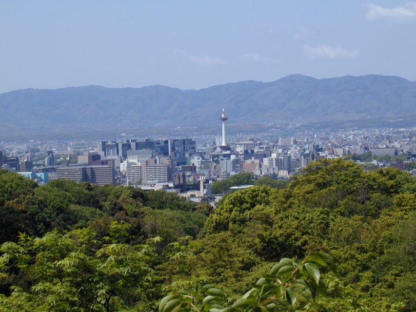 Kyoto: Private Tour With Local Licensed Guide - Experience Highlights