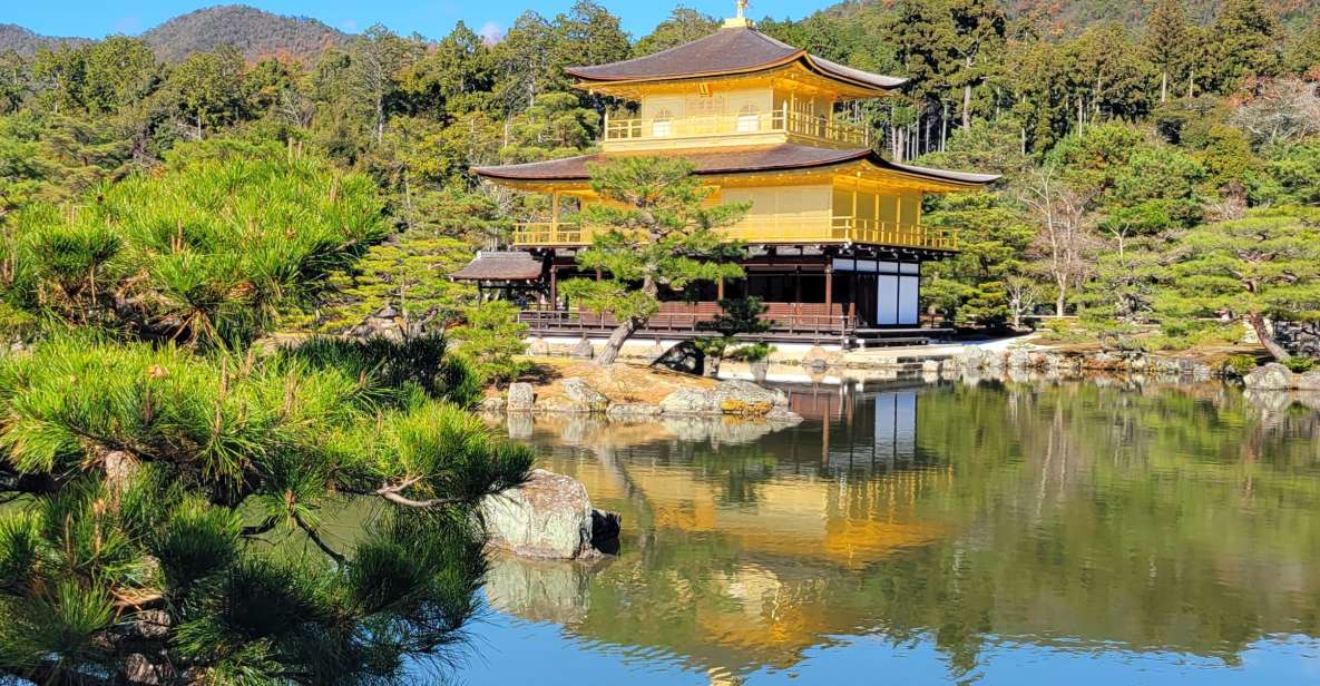 Kyoto: Private Walking Tour With Government Certified Guide - Experience Highlights