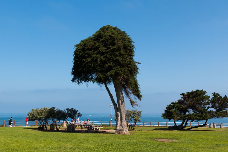 La Jolla: Self-Guided Walking Audio Tour - Experience Highlights