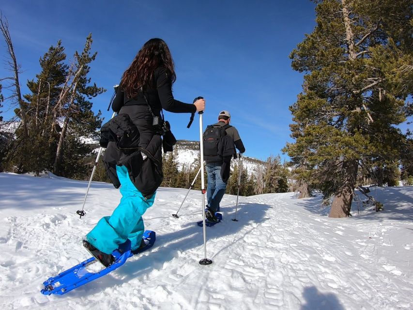 Lake Tahoe: Snowshoeing Guided Tour - Booking Information